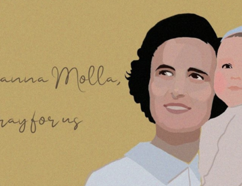 St. Gianna Novena