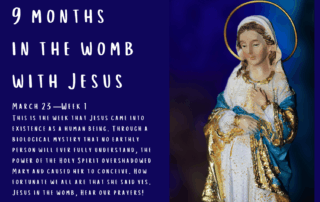 9 Months in the Womb with Jesus