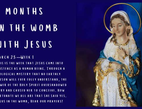 Nine Months in the Womb with Jesus